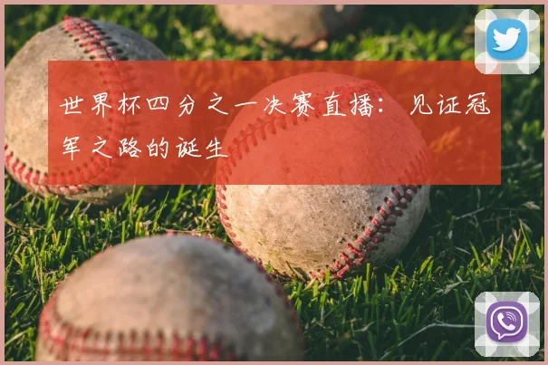 世界杯四分之一决赛直播：见证冠军之路的诞生