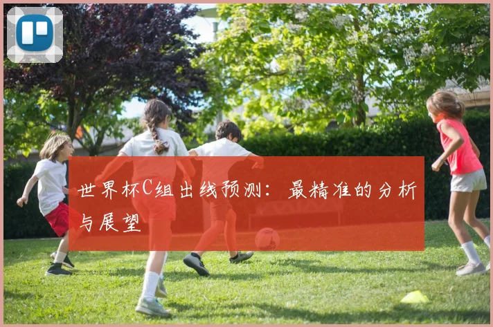 世界杯C组出线预测：最精准的分析与展望